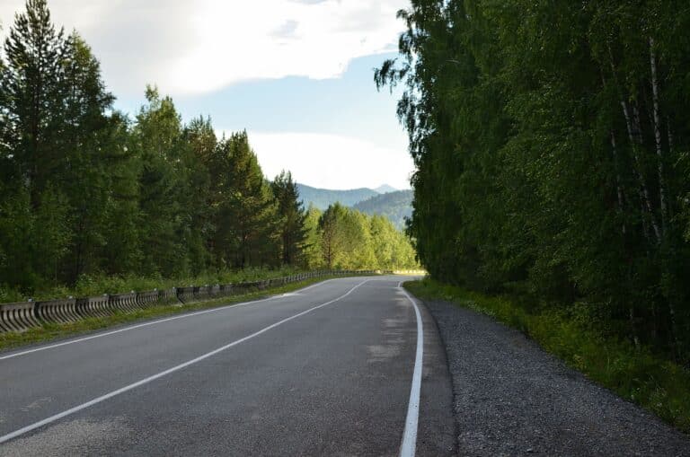 Forest Road